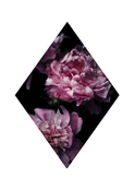 Fleurs roses pour un hommage r&eacute;confortant
